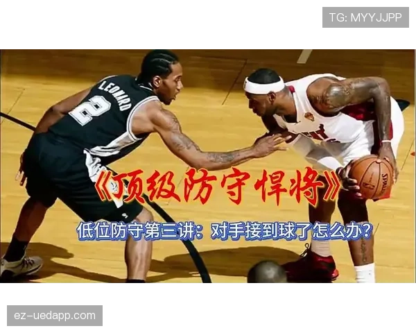 新手看篮球：如何区分非法身体接触与合理防守行为